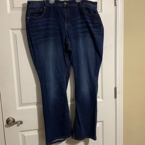 22W Cato Blue Jean pants